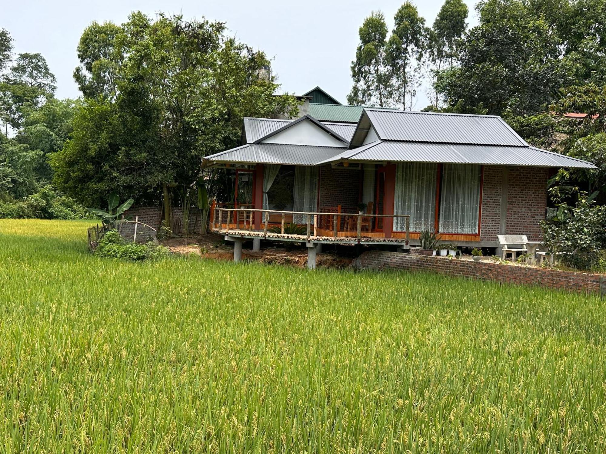 Vulinh Family -Homestay Yen Binh Kültér fotó