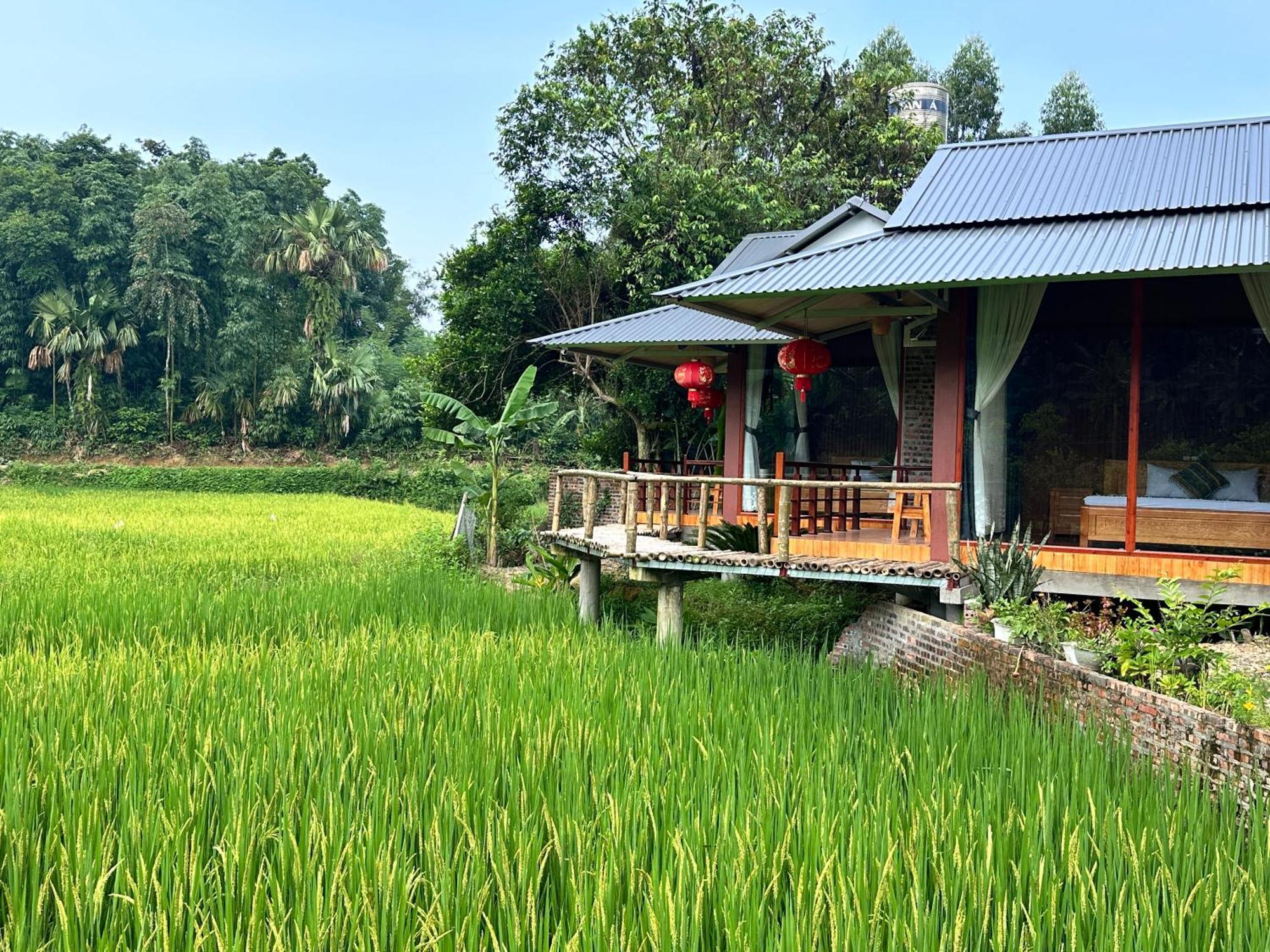 Vulinh Family -Homestay Yen Binh Kültér fotó